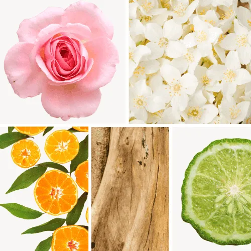 Duftnoten: Rose, Jasmin, Mandarine, Sandelholz, Bergamotte